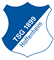 TSG 1899 Hoffenheim crest 