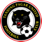 Tanjong Pagar United crest 