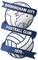 Birmingham crest 