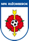 MFK Ružomberok crest 