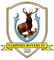 Tampines Rovers crest 