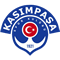 Kasimpasa crest 