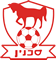 Bnei Sakhnin crest 
