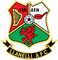 Llanelli Town crest 
