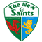 The New Saints crest 